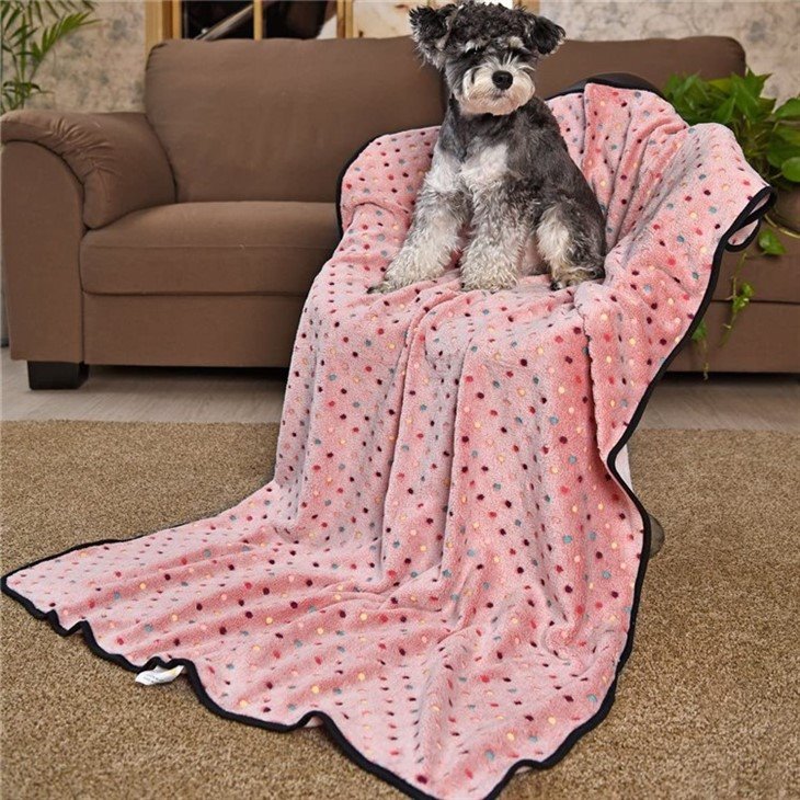 dog bed blanket