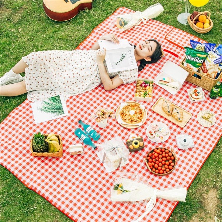 best picnic blanket