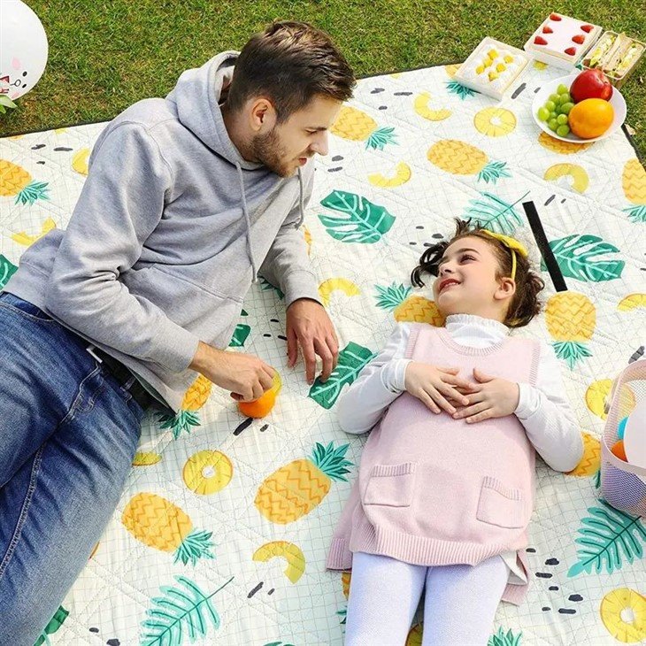 picnic blanket
