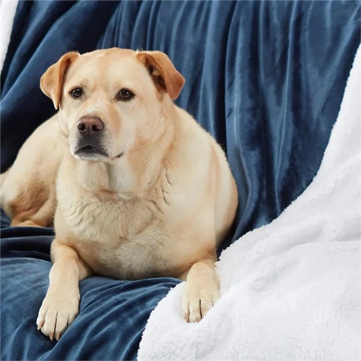 Sherpa Fleece Blanket Throw factory